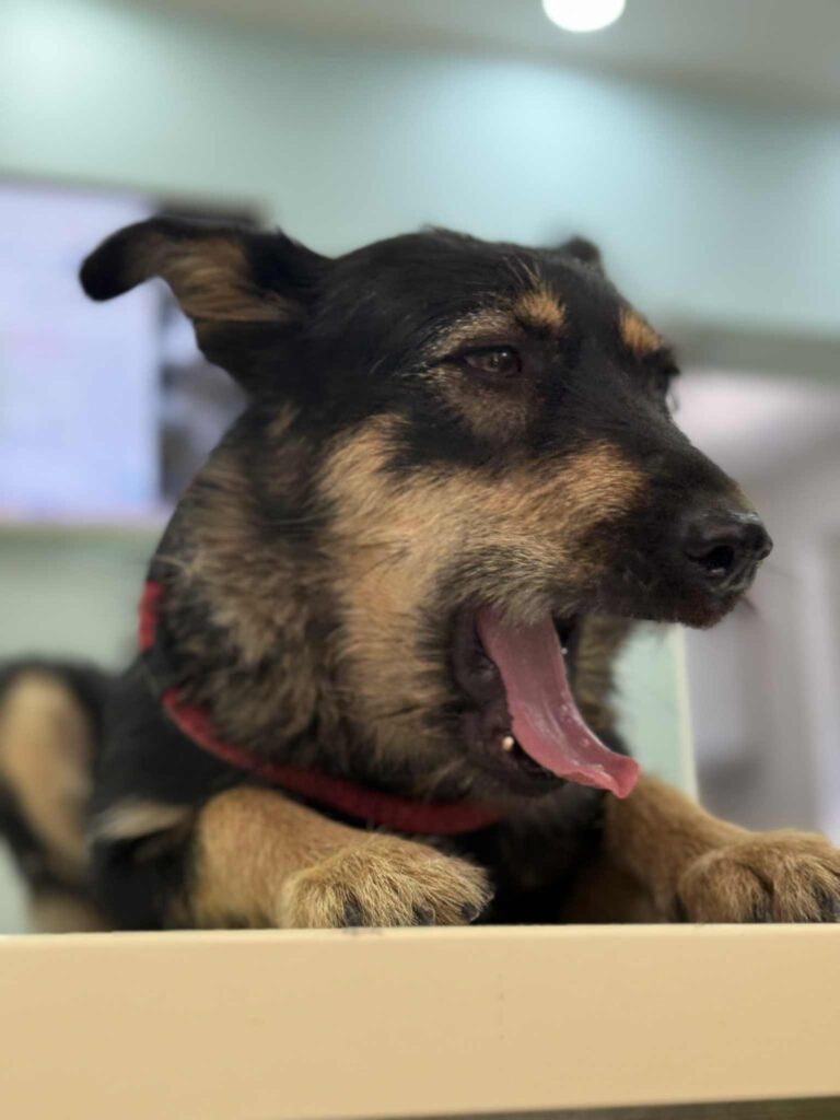 Messenger creation 537ae4f8 dea9 4772 b7d0 b49ab0e107f1