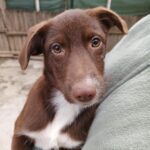 Messenger creation 5475f198 2929 4c86 af06 c0c917049f92