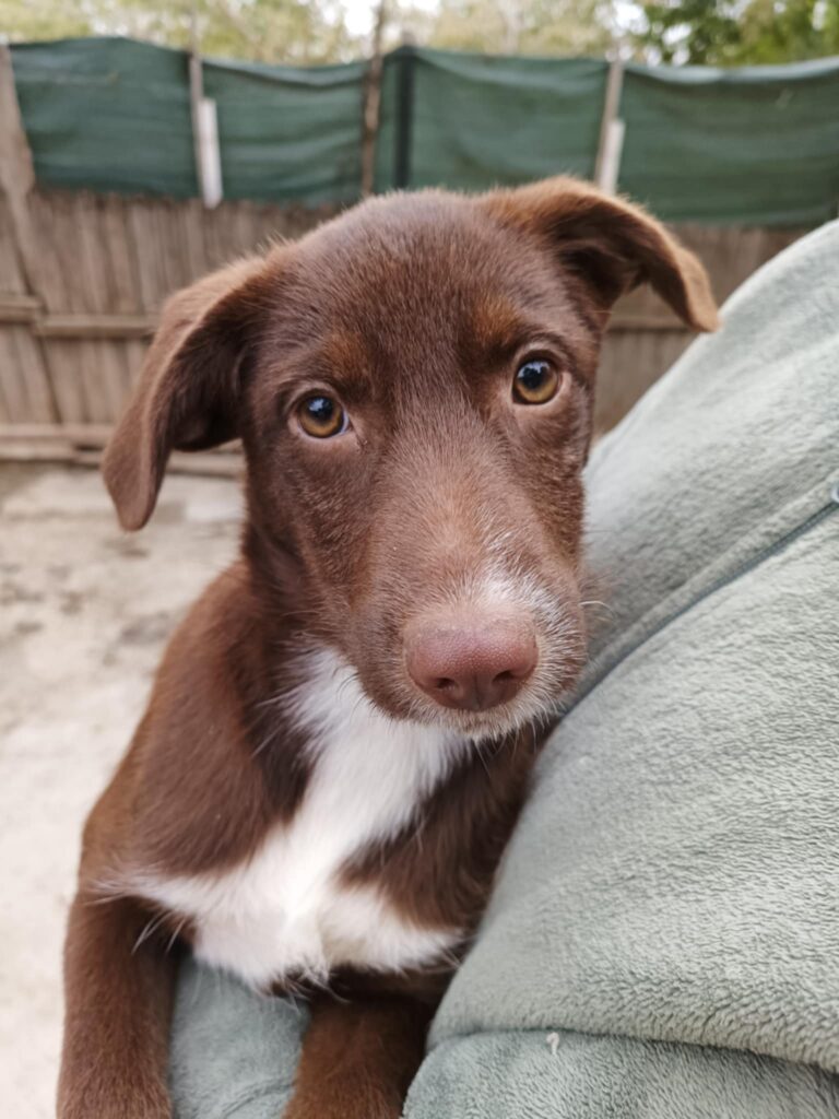 Messenger creation 5475f198 2929 4c86 af06 c0c917049f92