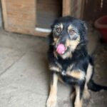 Messenger creation 55a897a2 b923 46bc a66d 8c1184482388