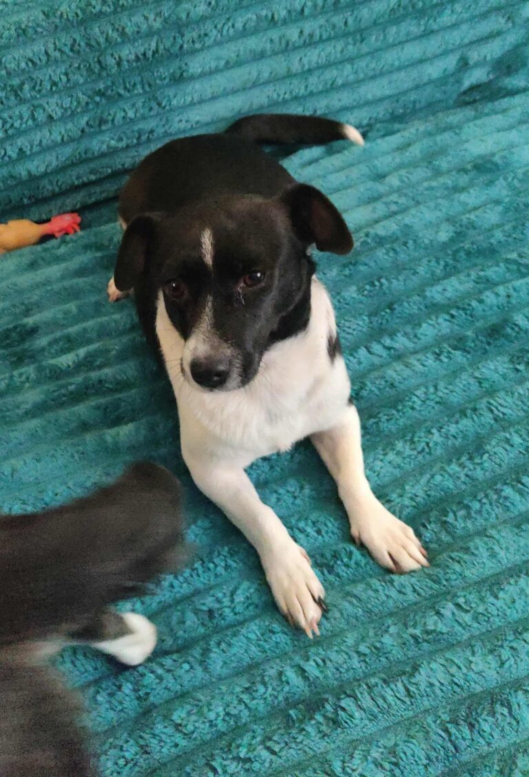 Messenger creation 5a8ad05e 5017 4e7a 9fa2 d7bb926e8c1b