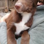 Messenger creation 664d7a23 bb54 4e1f a068 9e07caa43e71