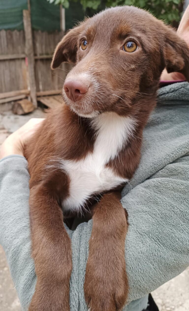 Messenger creation 664d7a23 bb54 4e1f a068 9e07caa43e71