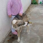 Messenger creation 668d0e75 05ca 4b68 b9bb 39d918a584cd