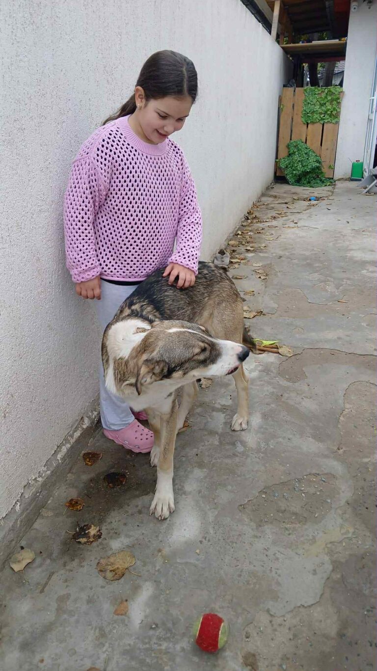 Messenger creation 668d0e75 05ca 4b68 b9bb 39d918a584cd