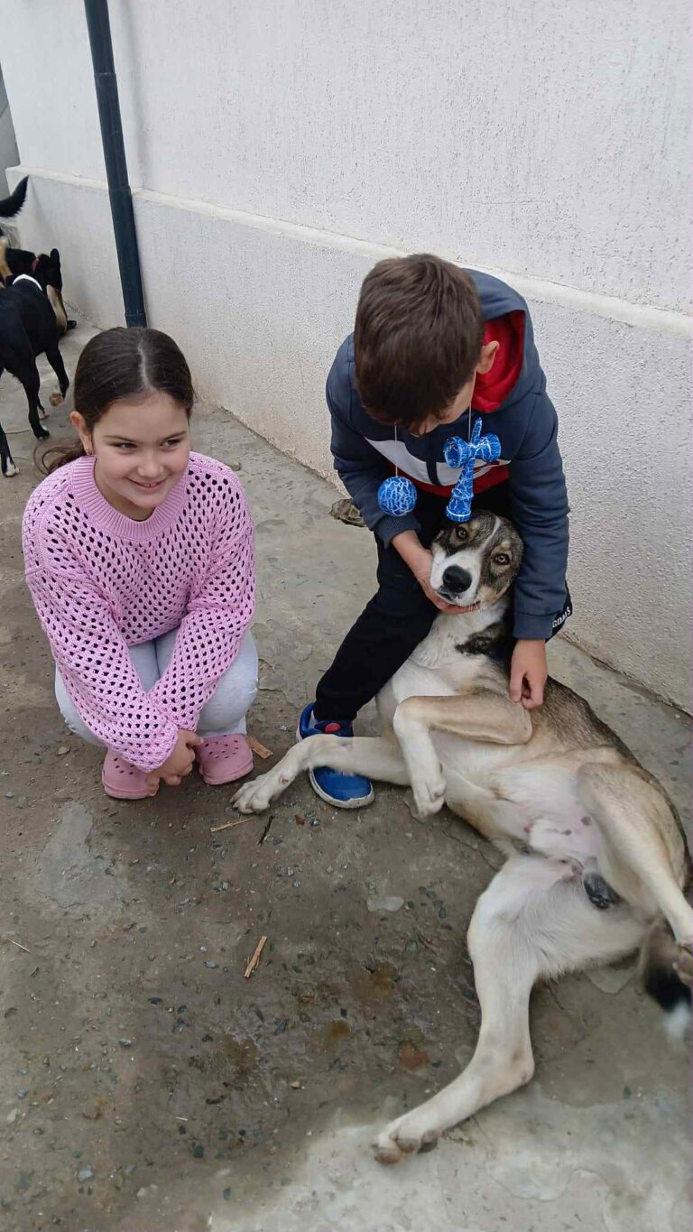 Messenger creation 6946e33b 5cfd 41f4 8635 e537ab1fdc06