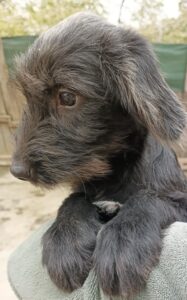 Messenger creation 6dfcc32f e88a 4fd0 9566 c04be364658d