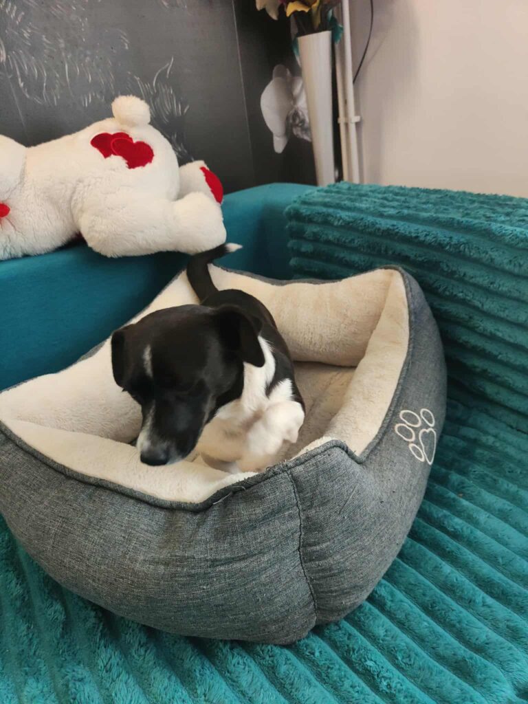 Messenger creation 704462cc e3e6 4078 890c fe77a0054b81