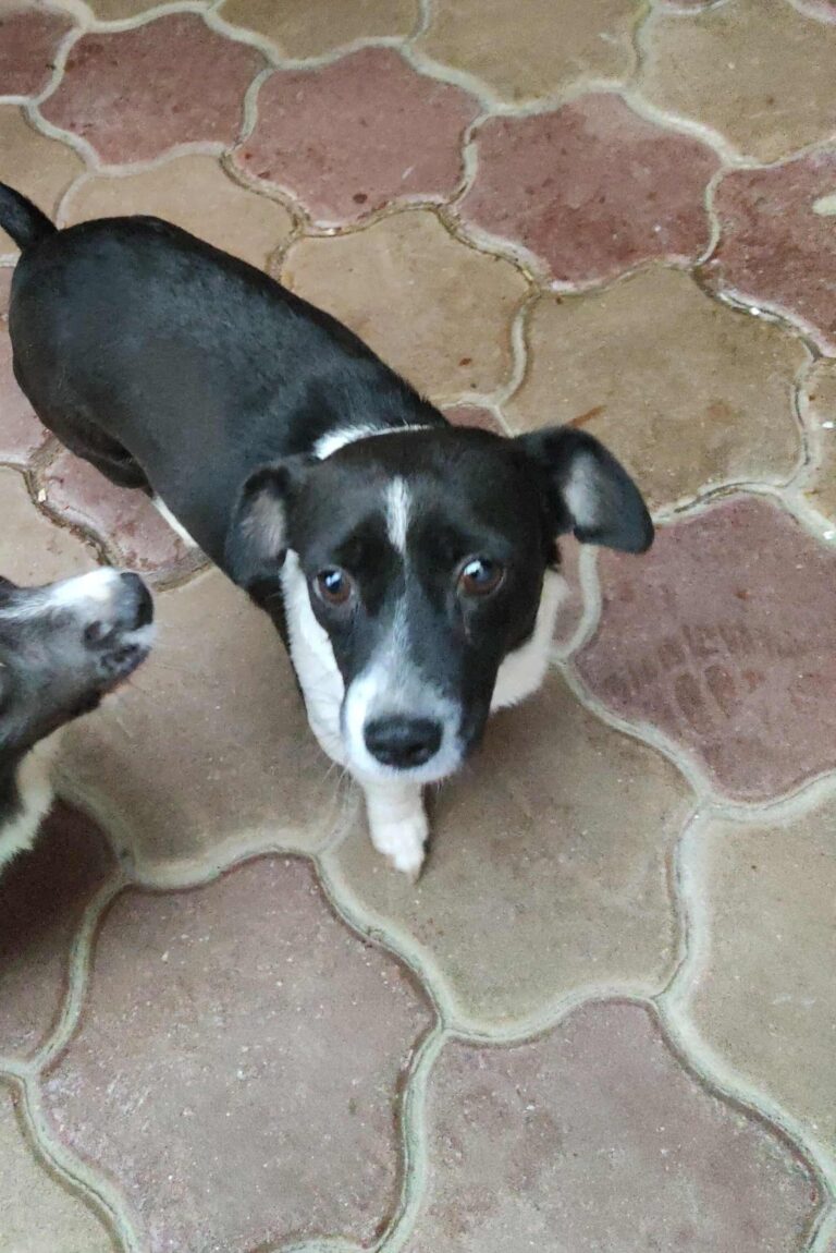 Messenger creation 7305048c ebde 4bf5 8670 02a0070c5e14