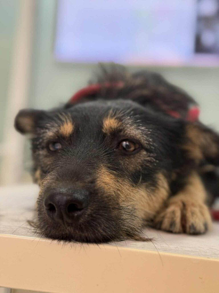 Messenger creation 8770ea99 24d6 4838 8f89 326755d98049