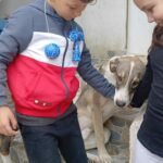 Messenger creation 88f3e1fb cb1f 499c 9d4a 9a5d0562f51f