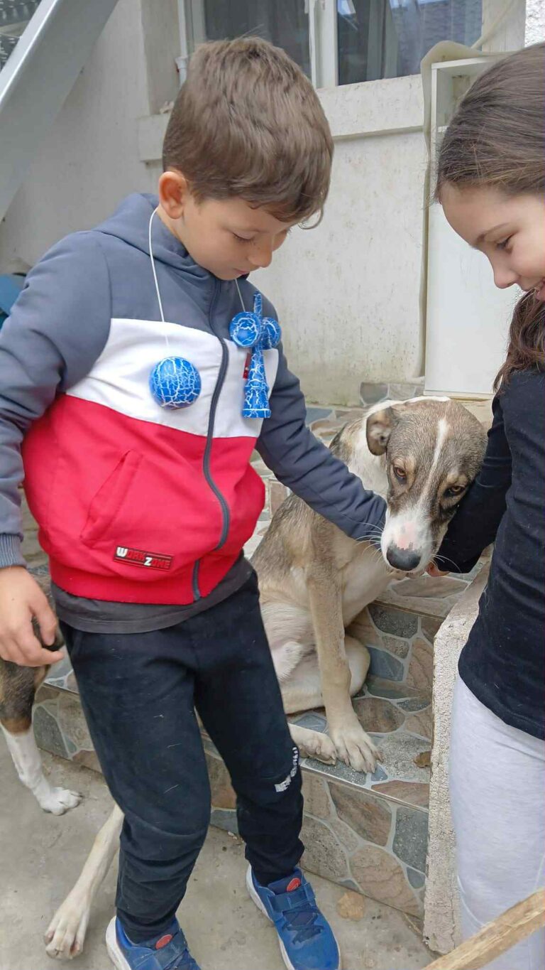 Messenger creation 88f3e1fb cb1f 499c 9d4a 9a5d0562f51f