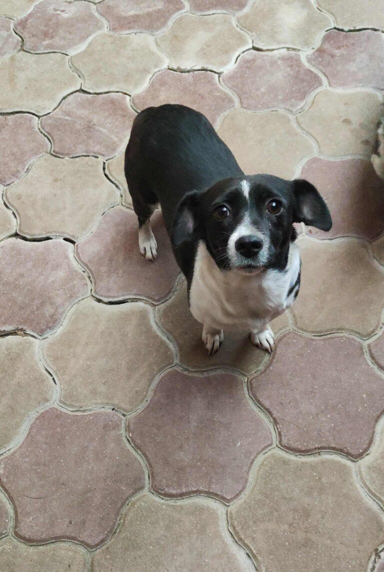 Messenger creation 8d56d7b5 df94 4549 b491 7f7141579831