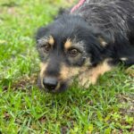 Messenger creation 923daf88 04e2 40ee ac29 ff7a4276cbf6