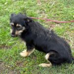 Messenger creation 96d0b72b 5daf 4d3d 91cf 9c4e6e433b68