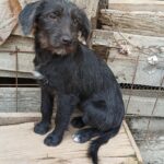 Messenger creation 97e85053 4f85 4627 8c9a 94ab8fa4698f