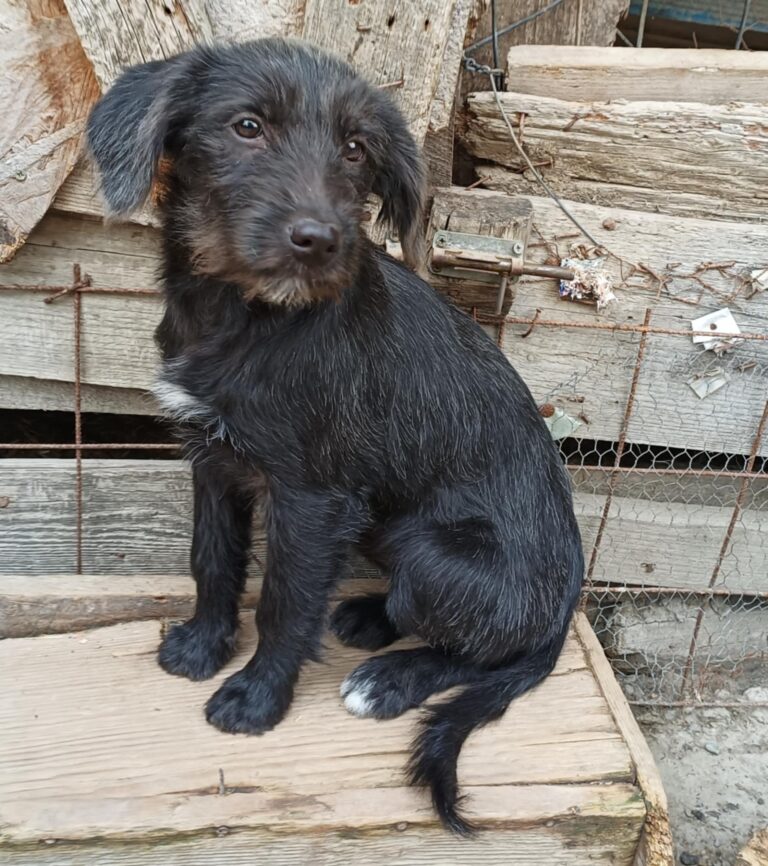 Messenger creation 97e85053 4f85 4627 8c9a 94ab8fa4698f