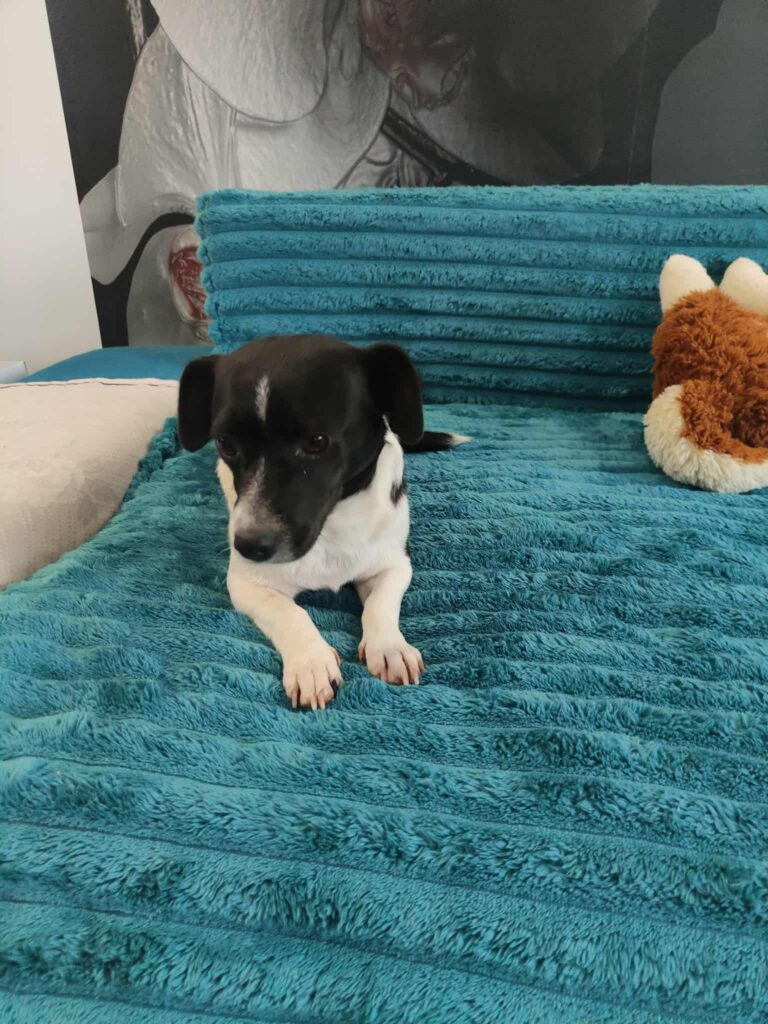 Messenger creation 9bc29863 dac2 4a30 b8eb 79bf7610736e