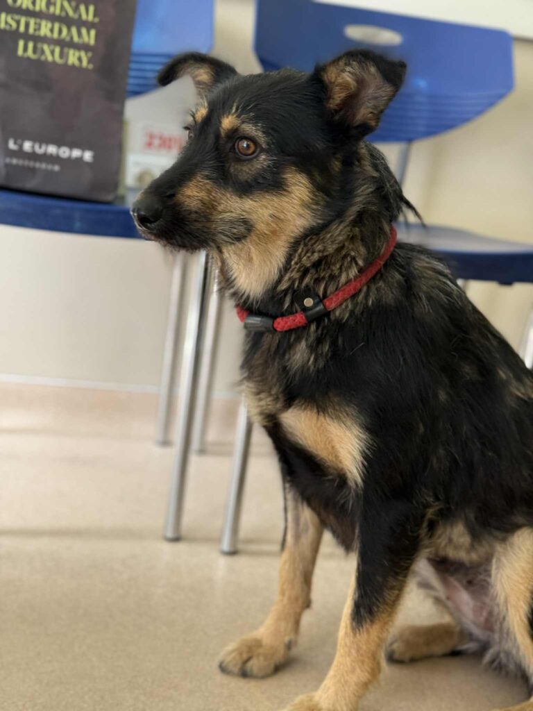 Messenger creation 9d7be2d2 e35c 441a aaf4 a024dbc11a64