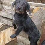 Messenger creation a1ff5bde e236 40e3 b3c0 e784f8288d1a