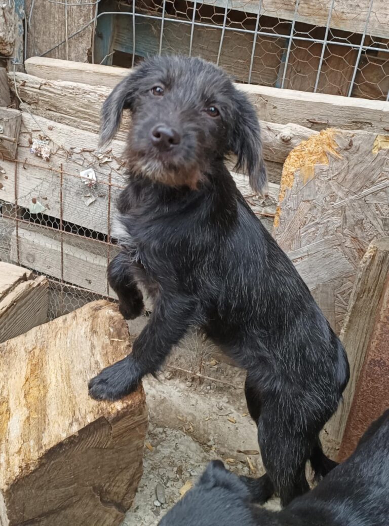 Messenger creation a1ff5bde e236 40e3 b3c0 e784f8288d1a