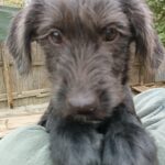 Messenger creation af4e7ee6 ed17 49eb ad02 3859572fe04c