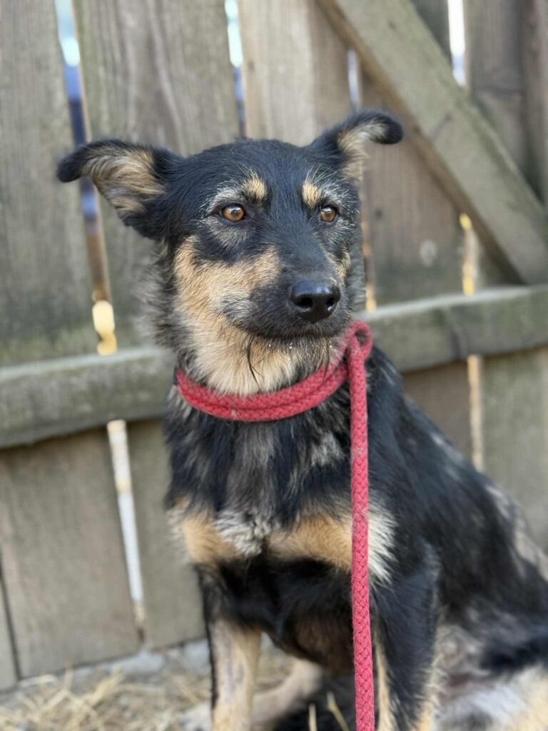 Messenger creation b0e43a4a 39a1 4e73 906f c547979a9343