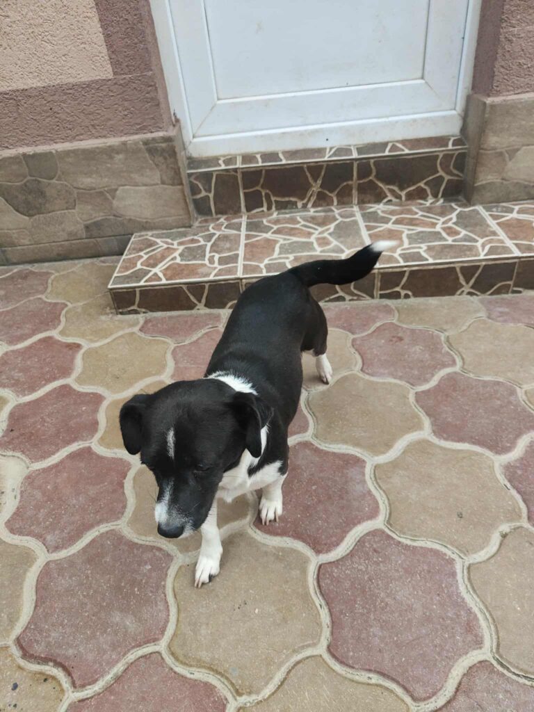 Messenger creation c1aeac78 abac 4411 a074 251ddefd1d90