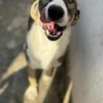 Messenger creation c9ee73e5 488a 44c6 8e51 349877b75d12