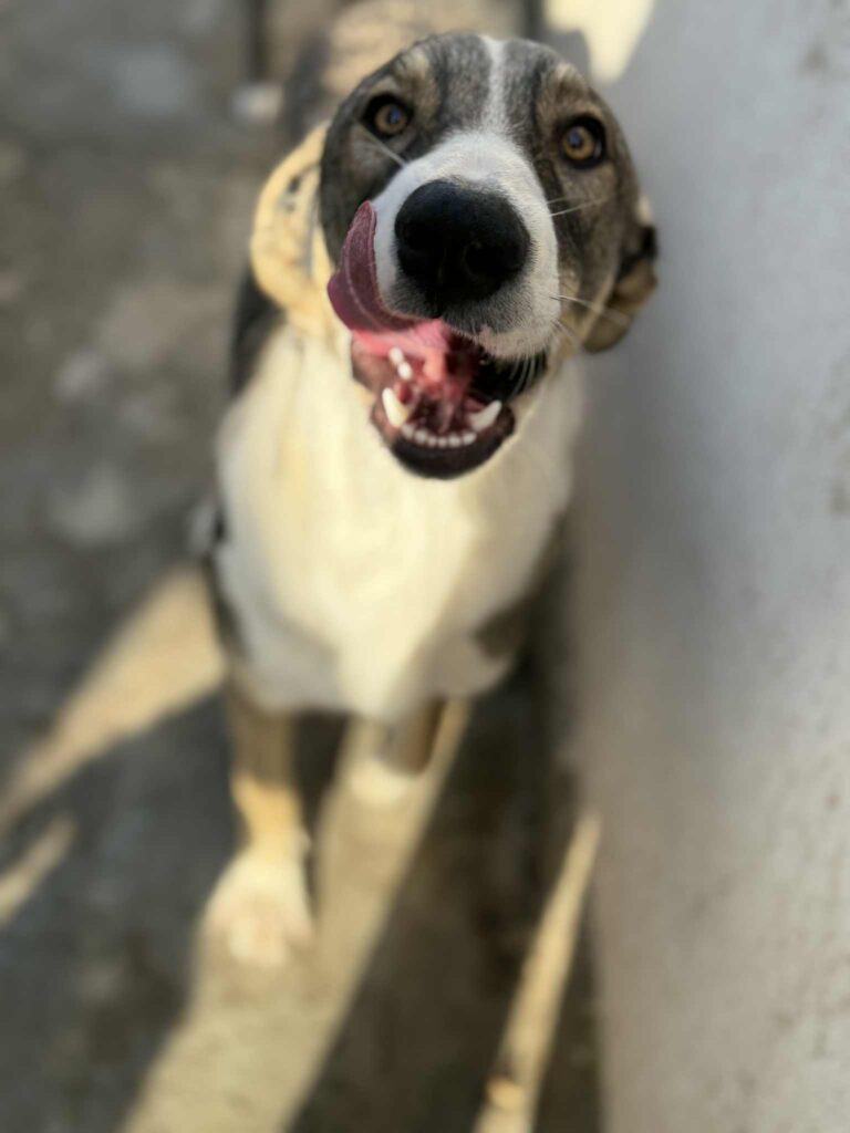 Messenger creation c9ee73e5 488a 44c6 8e51 349877b75d12