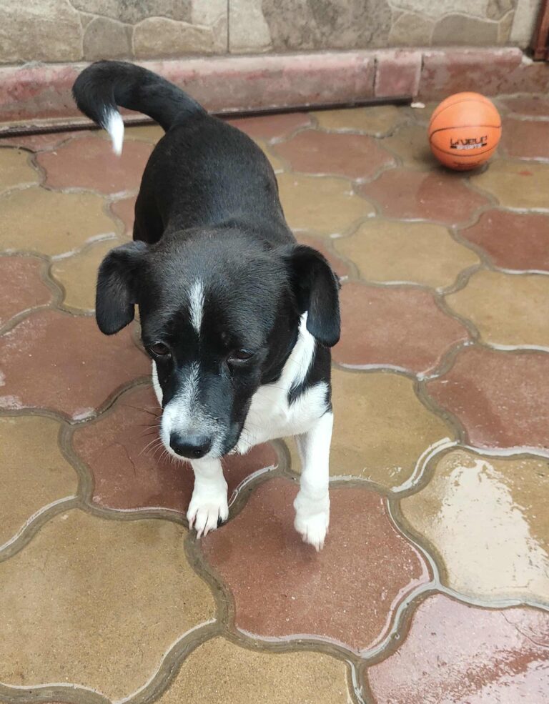 Messenger creation d135ebd0 51d3 47d8 aa75 27d398026e0e