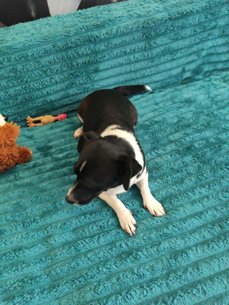 Messenger creation d152d71c c29e 446e 85b0 c8e0d77a09cf