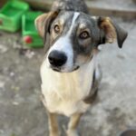 Messenger creation d4edb56f a266 40a4 90a6 fdb74256b519