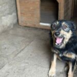 Messenger creation d60c6715 0b1d 4212 a1b5 97231b864295