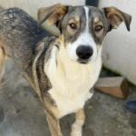 Messenger creation d6b89638 6ff6 43fb 81ed 542c4c1d5eb0