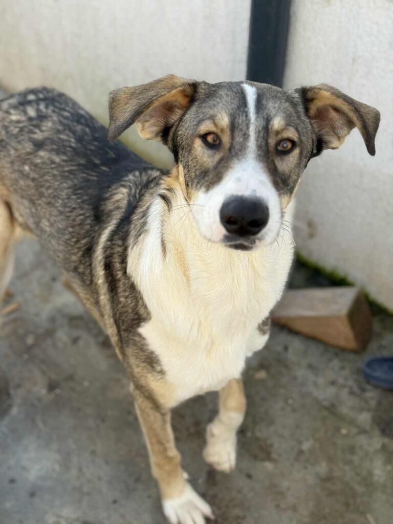 Messenger creation d6b89638 6ff6 43fb 81ed 542c4c1d5eb0