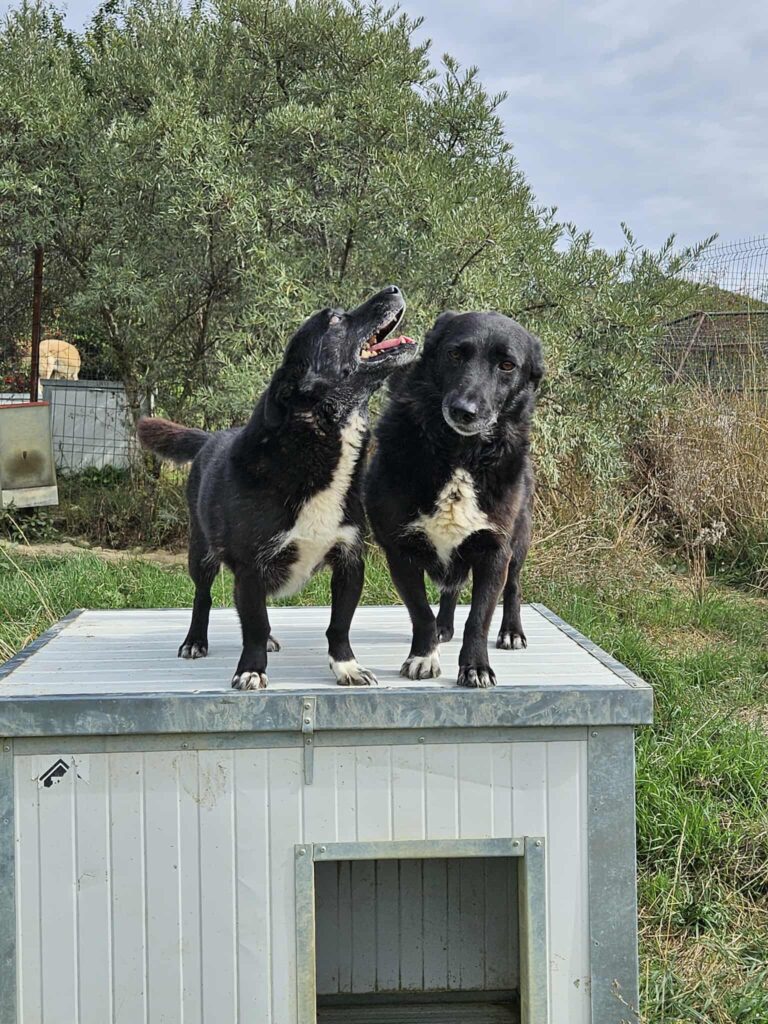 Messenger creation db3d3b16 7001 4933 ab94 68fb83608e32