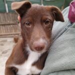 Messenger creation defe553e 4214 49da abea 0a3ad30bdb43