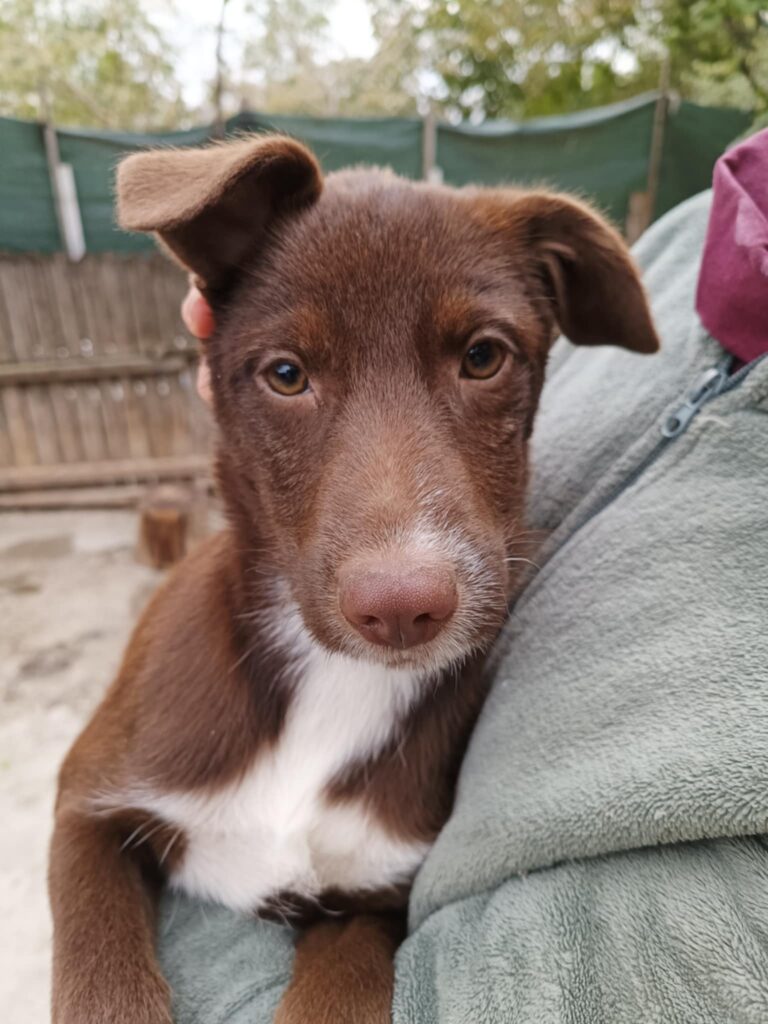 Messenger creation defe553e 4214 49da abea 0a3ad30bdb43