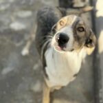 Messenger creation e41a27cf 21b8 4581 b26a 387058faf80a