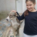 Messenger creation e6c033a8 d714 43b2 b078 db15dba5f0bb