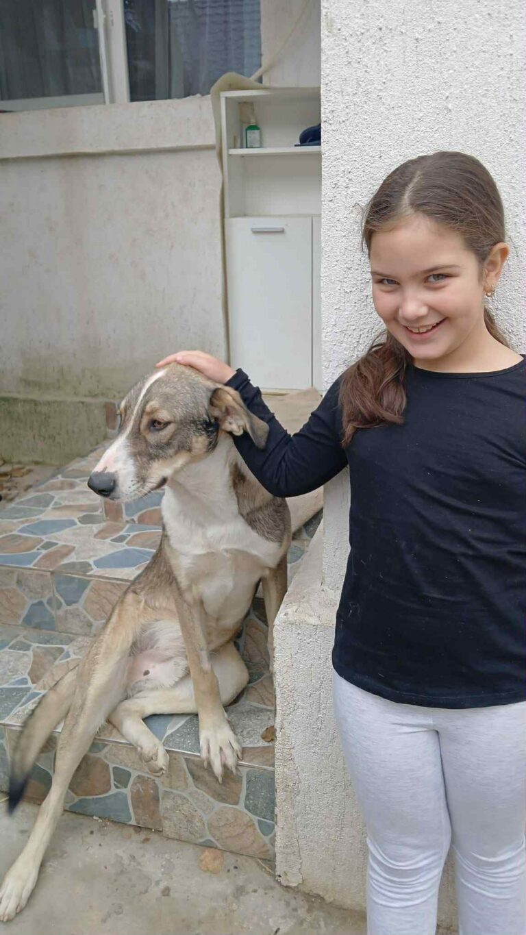 Messenger creation e6c033a8 d714 43b2 b078 db15dba5f0bb