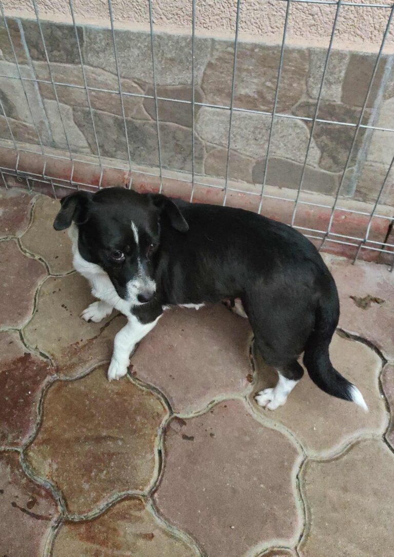 Messenger creation ee16466f e52a 421b 980f c5998ef1eedd