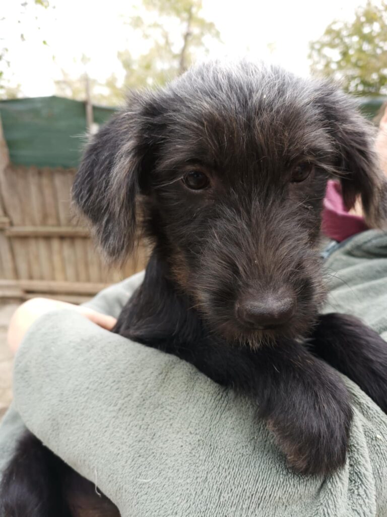 Messenger creation ff60fd91 0190 40d4 b27e 3ae0bd26d3de