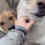 Screenshot 20251009 085144 gallery