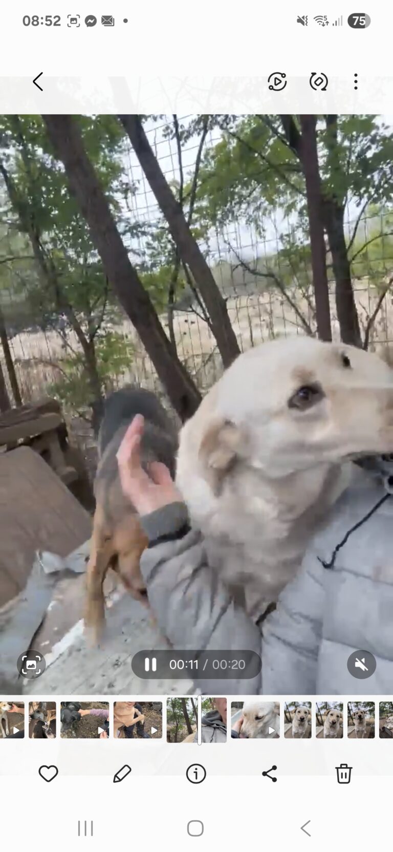 Screenshot 20251009 085201 gallery