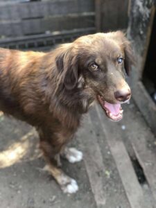 Received 1107374108165909