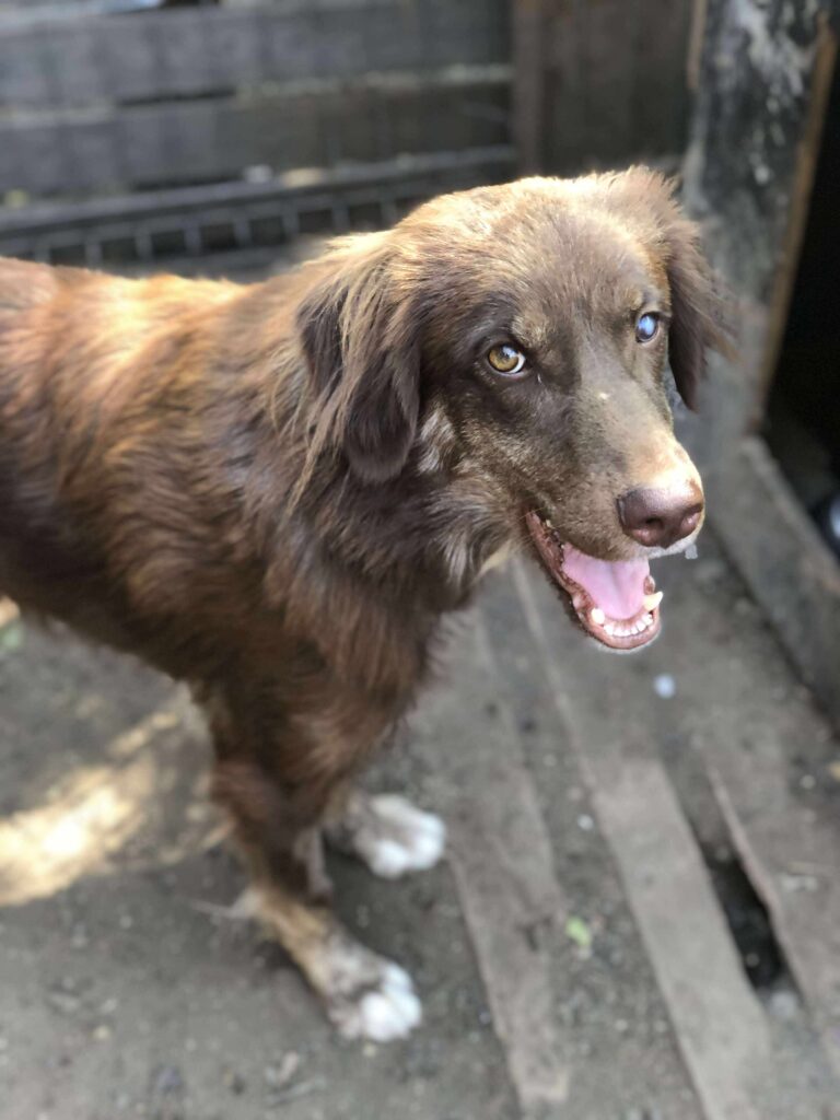 Received 1107374108165909