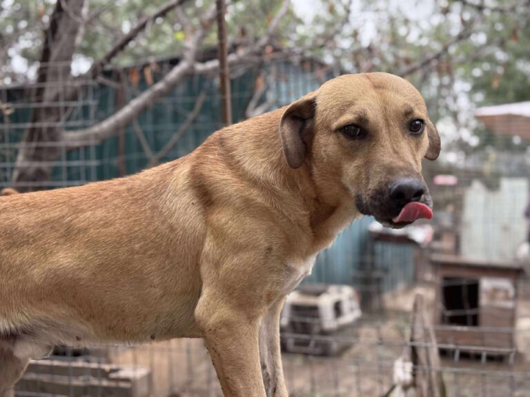 Received 1129041222671765