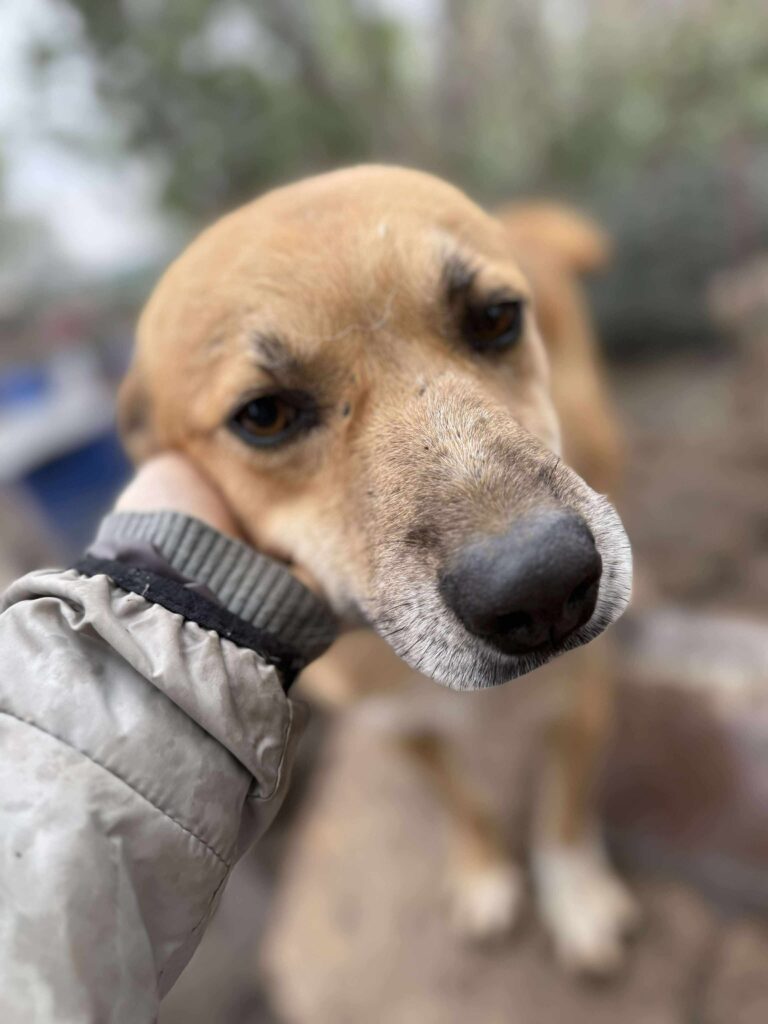 Received 1134542108214280